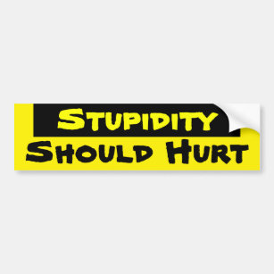 Stupidity should hurt bumper sticker