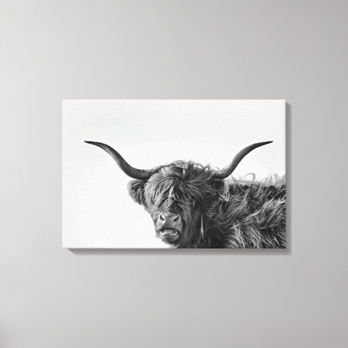 Sturdy highland cow in monochrome canvas print
