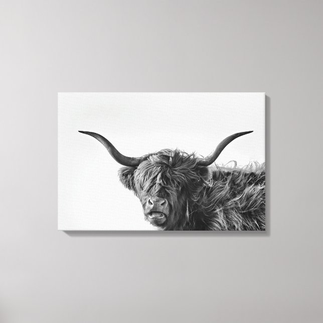 Sturdy highland cow in monochrome canvas print (Front)
