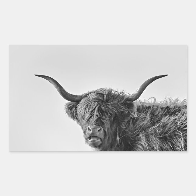 Sturdy highland cow in monochrome rectangular sticker (Front)