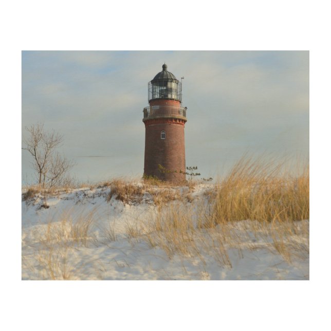 Sturdy Lighthouse on a Rocky Coast in Winter Wood Wall Art (Front)