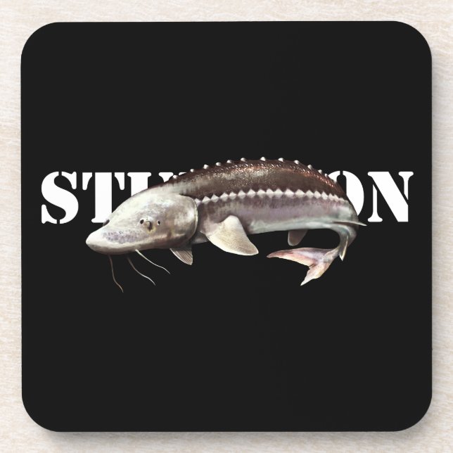 Sturgeon Beverage Coaster (Front)