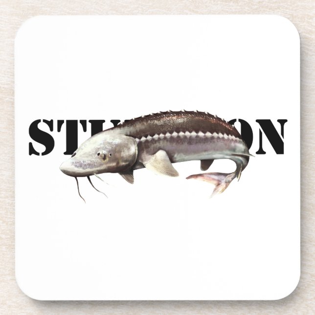 Sturgeon Beverage Coaster (Front)