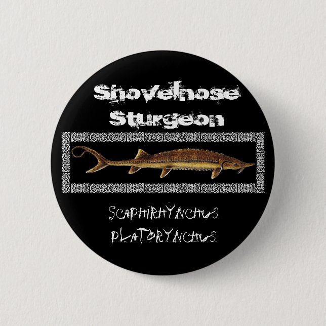 Sturgeon Button - Shovelnose Sturgeon (Front)