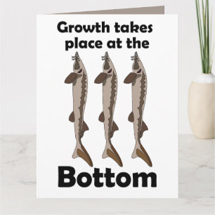 Sturgeon Fish Bottom Dweller Inspirational Quote Card