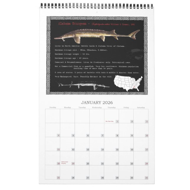 Sturgeon of North America 2010 Calendar (Jan 2026)