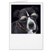 "Style" - Bully Mix (Front)