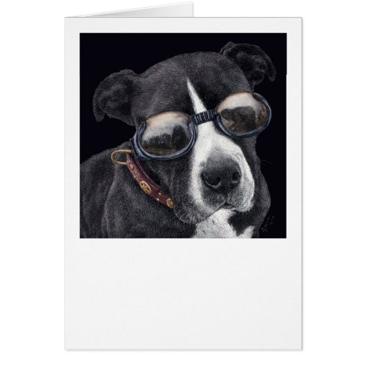 "Style" - Bully Mix Cards (Front)