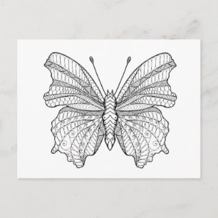 Style Butterfly 3 Postcard