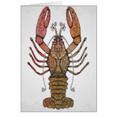 Style Lobster (Front)