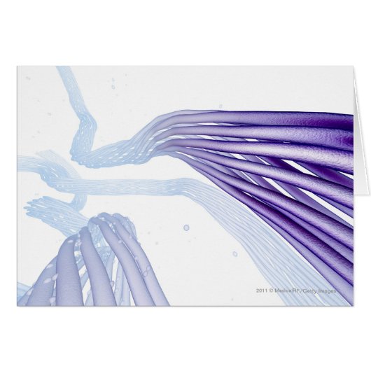 Stylised nerve fibers cards (Front Horizontal)