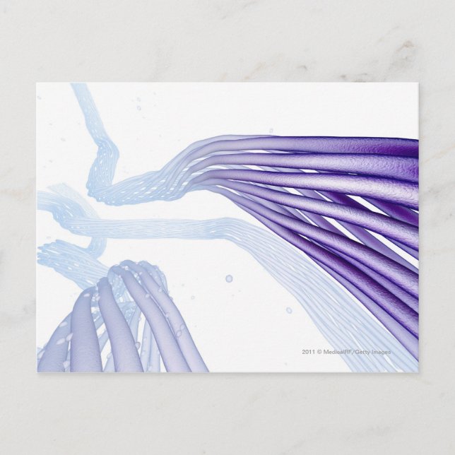 Stylised nerve fibers postcard (Front)