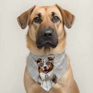 Stylish Australian Shepherd Dog and Plaid Monogram Pet Bandana Collar