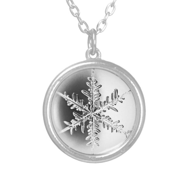 Stylish Black and White Snowflake Crystal Silver Plated Necklace (Front)