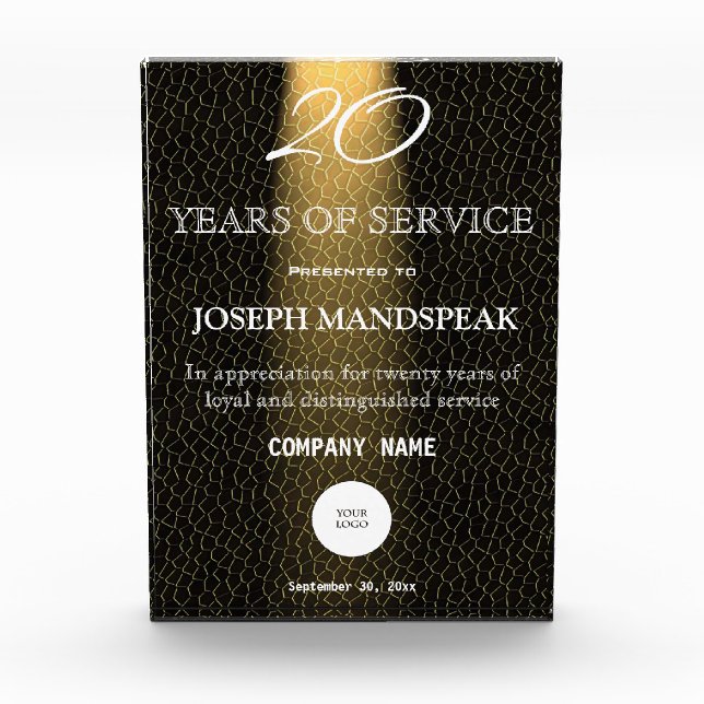 Stylish Black Leather & Gold Light Acrylic Award (Front)