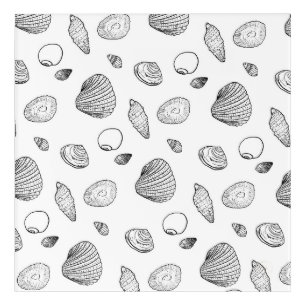 Stylish Black White Seashells Pattern Acrylic Print
