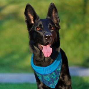 STYLISH BLUE GREEN PEACOCK FEATHER PET DOG NAME BANDANA COLLAR