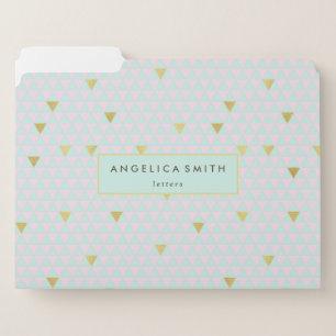 Stylish Boho Chic Pink Mint Gold Chevron Pattern File Folder
