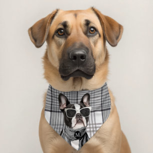Stylish Boston Terrier Dog and Plaid Monogram Pet Bandana Collar