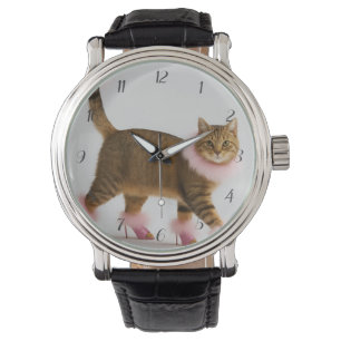 Stylish Cat in Pink Heels and Fluffy Glam Watch