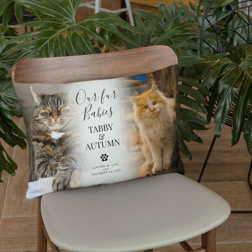 Stylish Chic Cat Memorial 2 x Photo Pet Keepsake Lumbar Pillow