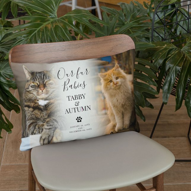 Stylish Chic Cat Memorial 2 x Photo Pet Keepsake Lumbar Pillow (Creator Uploaded)