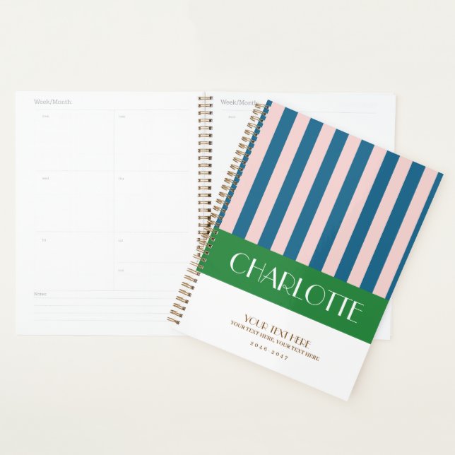 Stylish Colorful Stripes Personalized Planner (Display)