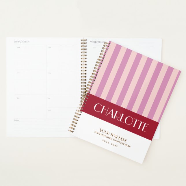 Stylish Colorful Stripes Personalized Planner (Display)