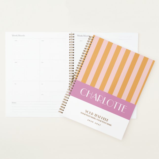 Stylish Colorful Stripes Personalized Planner (Display)