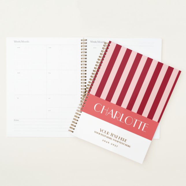 Stylish Colorful Stripes Personalized Planner (Display)