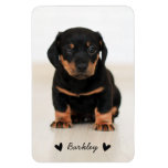 Stylish Cute Hearts Pet Photo Name | Black Magnet at Zazzle