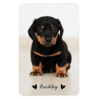 Stylish Cute Hearts Pet Photo Name | Black