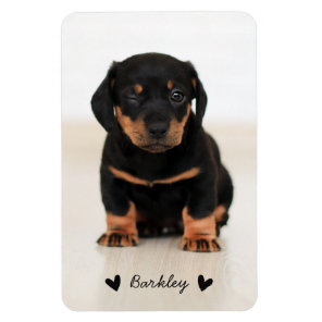 Stylish Cute Hearts Pet Photo Name | Black Magnet