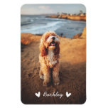 Stylish Cute Hearts Pet Photo Name | White Magnet at Zazzle