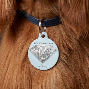 Stylish Diamond Jewelry Personalized Round Pet Tag