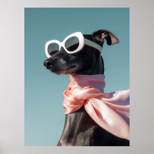 Stylish Dog With Sunglasses Scarf Poster (Front)