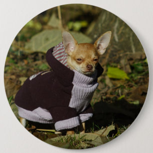 Stylish Dressed Chihuahua Puppy Button