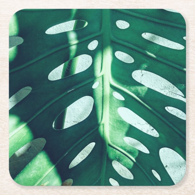 Stylish Green Palm Leaf Paper Coaster (Front)