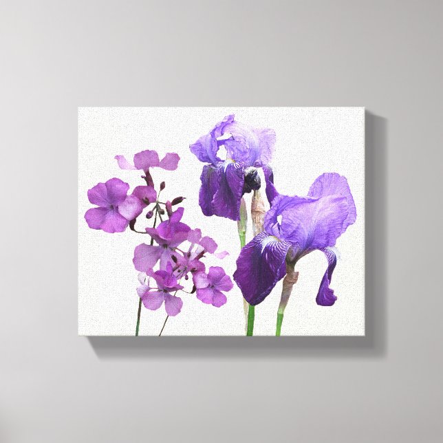 Stylish hot purple iris flowers digital fine art canvas print (Front)
