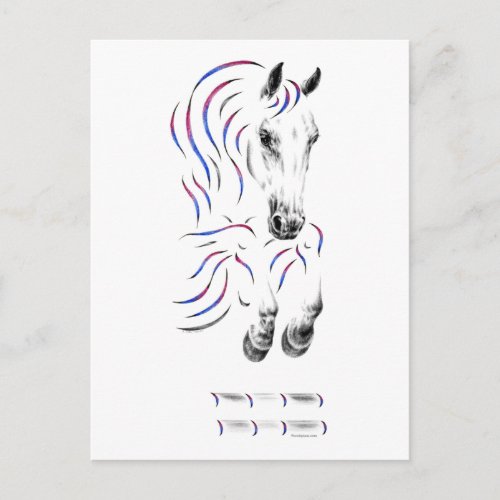 Stylish Jumping Jumper Horse Postcard