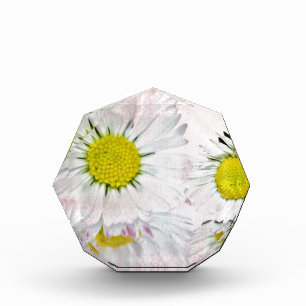 Stylish Mod Surprise Whimsical Classy Destiny Acrylic Award
