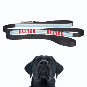 Stylish Modern Blue Stripes Dog Puppy Doggy Name Pet Leash