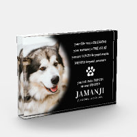 Stylish Modern Tribute Pet Remembrance