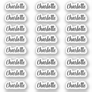 Stylish Name Sticker decal name labels
