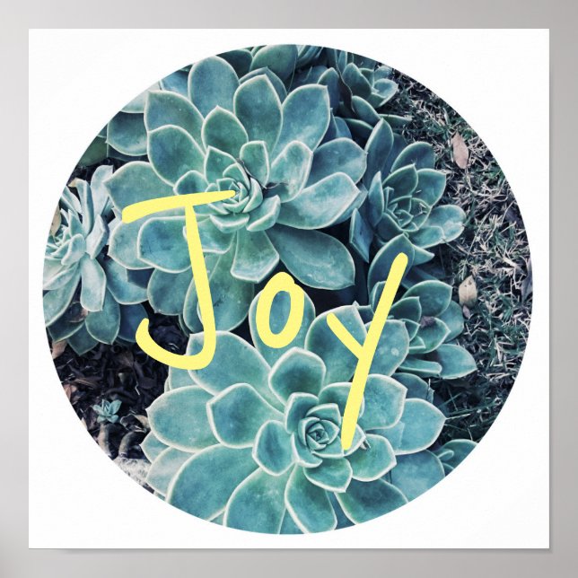Stylish Pale Green Cactus Succulent Joy Poster (Front)