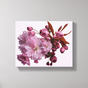 Stylish pale pink cherry blossom trendy modern canvas print