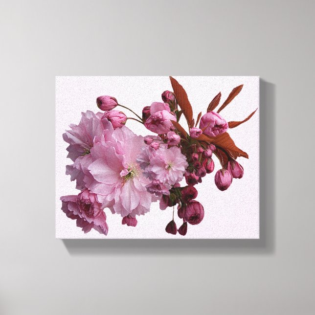 Stylish pale pink cherry blossom trendy modern canvas print (Front)