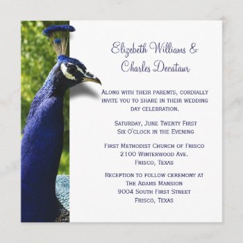 Stylish Peacock Custom Wedding Invitation by Hannahscloset at Zazzle