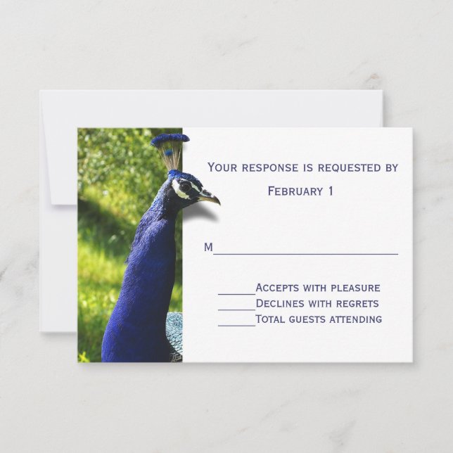 Stylish Peacock Wedding Response RSVP Card (Front)