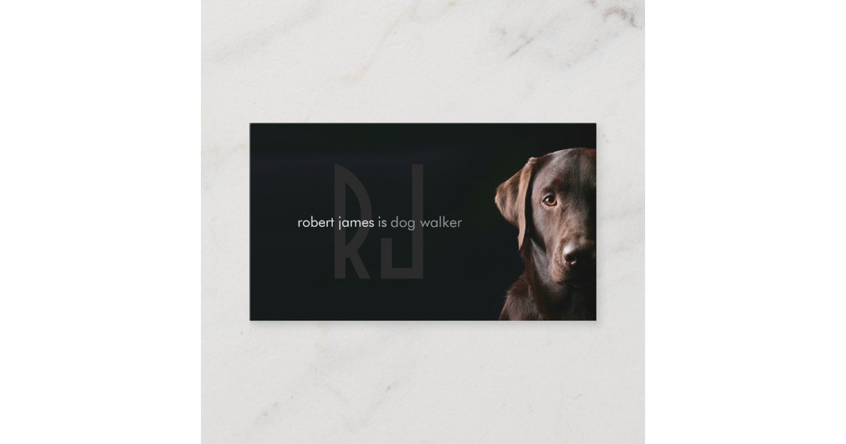 Stylish Pet Care Dog Walker Walking Business Card